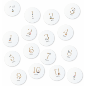 Echo Baby Milestone Cards - Nautical