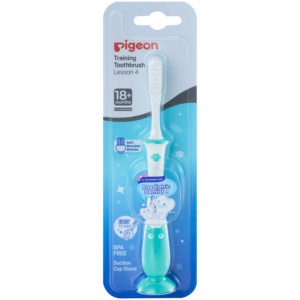 Pigeon Training Toothbrush Lesson 4 - Mint