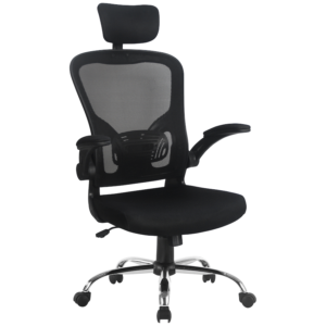 Everfurn Stagio Ergo High Back Office Chair